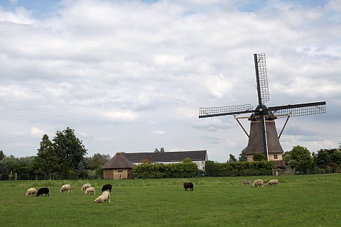 countryside countryside